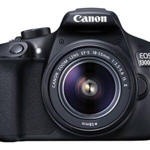 Nikon D3300 and Simple Coupon with Review